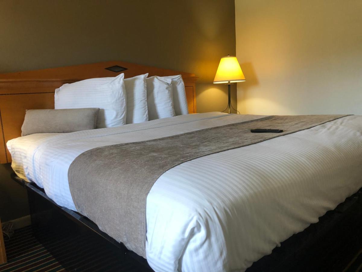 Timmonsville 蒂蒙斯维尔经济型旅馆汽车旅馆 外观 照片